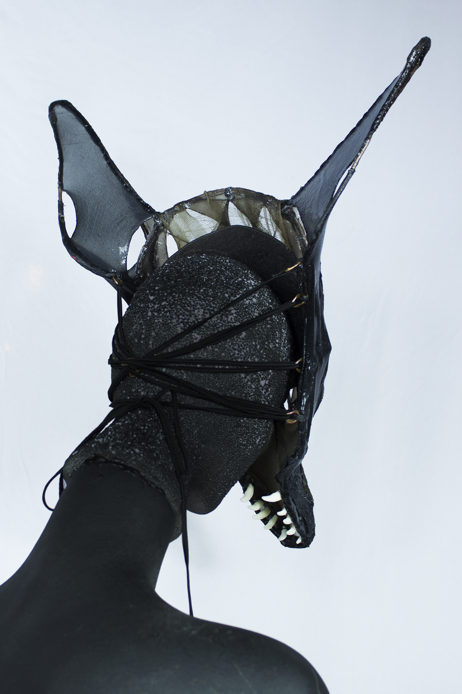 Anubis2-2.jpg
